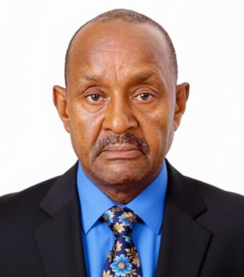 Mr.  Emfosi Meena