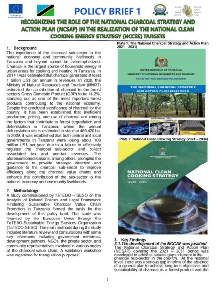 Recognizing the Role of the National Charcoal Strategy and Action Plan (NCSAP) in the Realization of the National Clean Cooking Energy Strategy (NCCES) Targets