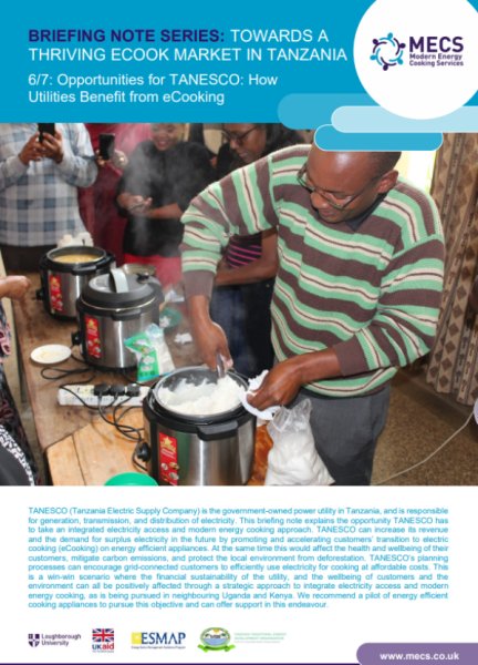 BRIEFING NOTE SERIES: TOWARDS A THRIVING ECOOK MARKET IN TANZANIA