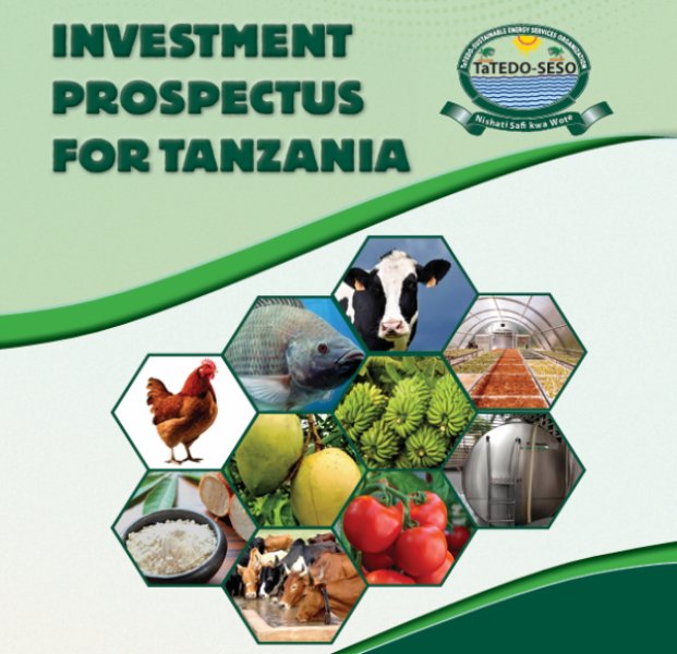 INVESTMENT  PROSPECTUS  FOR TANZANIA