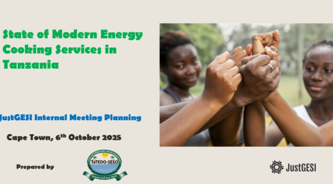Stateof Modern Energy Cooking Services in Tanzania
