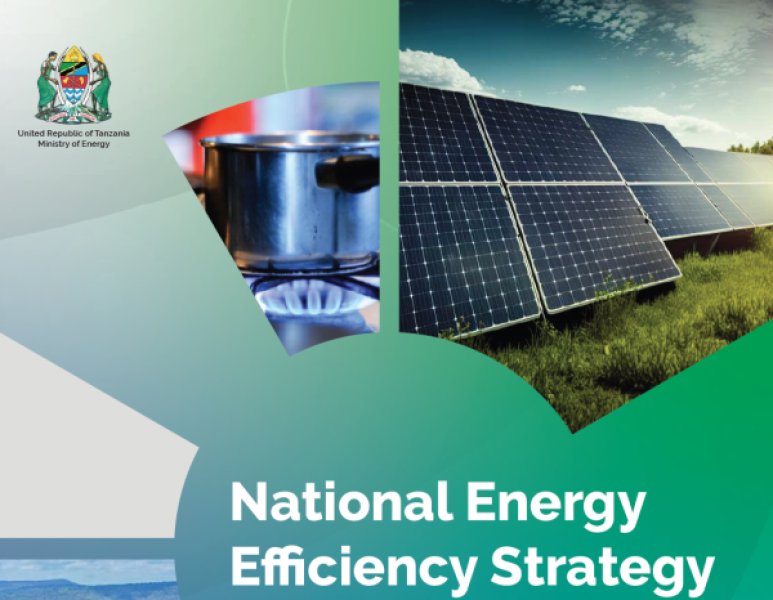 National Energy Efficiency Strategy