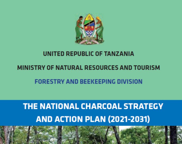 T HE NATIONAL CHARCOAL STRATEGY AND ACTION PLAN (2021-2031)