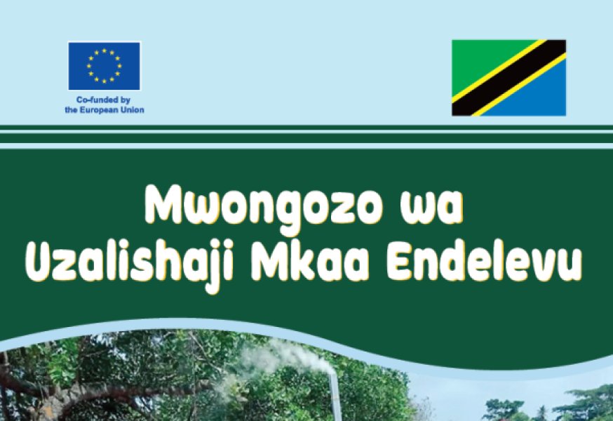 Mwongozo wa Uzalishaji Mkaa Endelevu