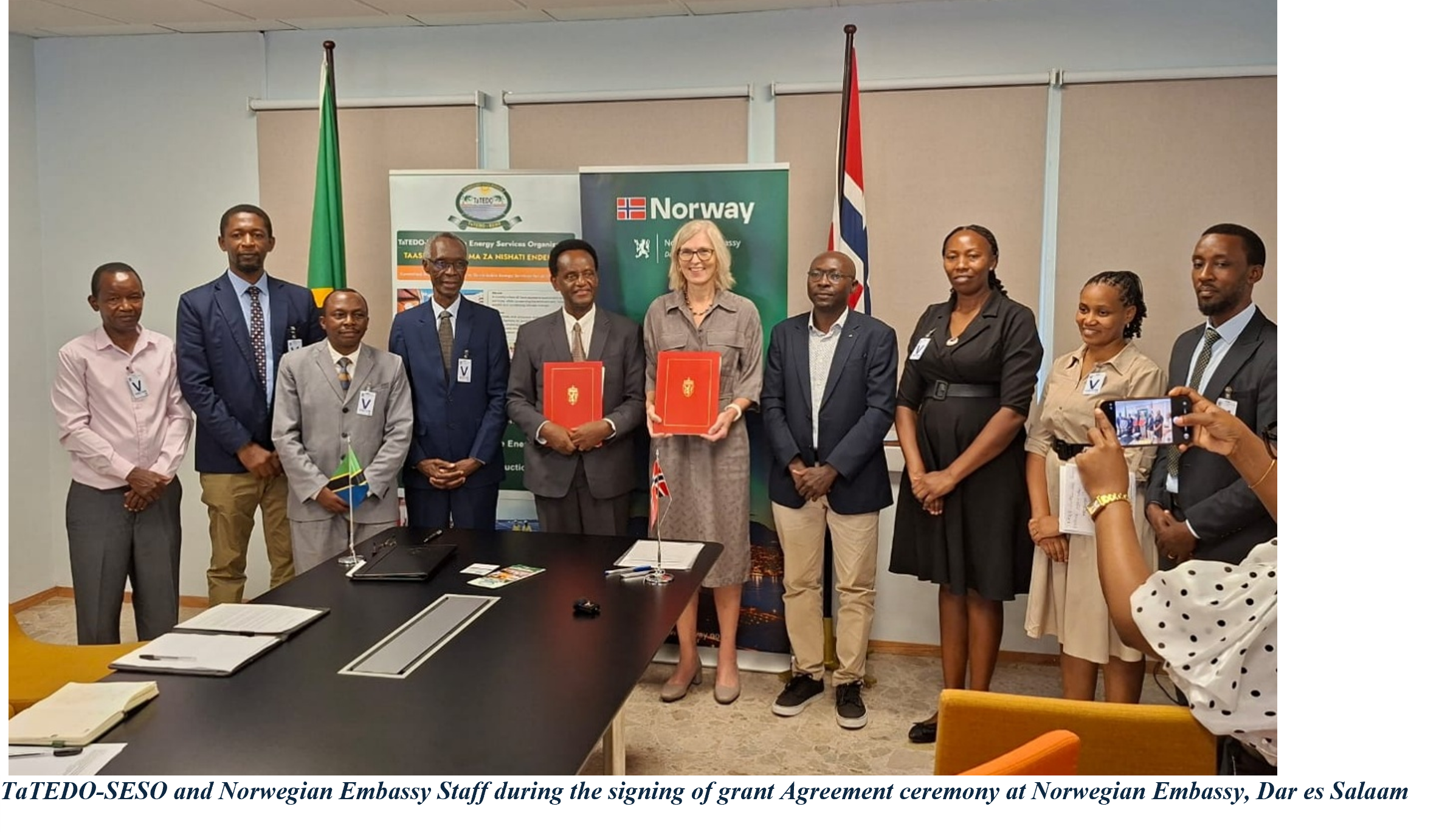 Tanzania Green Energy and Clean Cooking Transition Project (TaGET)