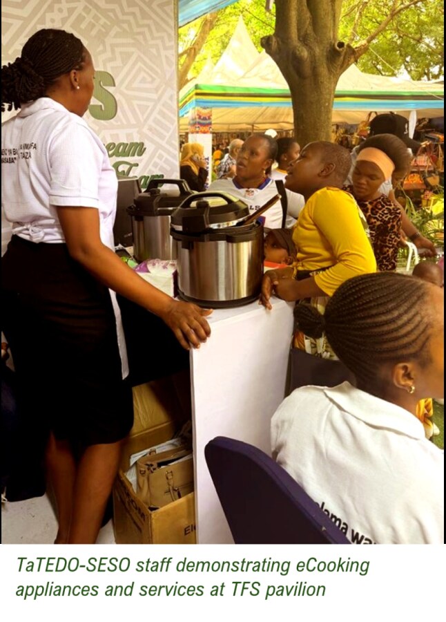 TaTEDO-SESO staff demonstrating eCooking appliances and services at the TFS pavilion